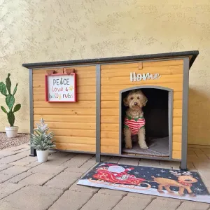 59" Large Insulated Dog House with Liner - Waterproof Winter Kennel for Outdoor & Indoor Use